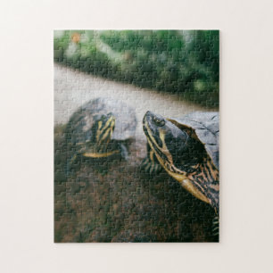 Mutter und Tier Schildkrötenfotografie Tier Puzzle