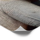 Mutter und Tochter-Elefanten Poster (Ecke)