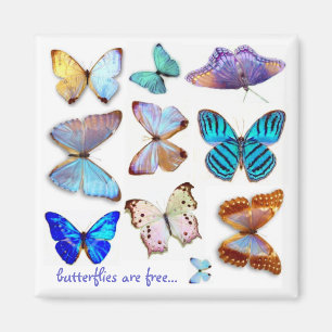 Mutter von Pearl Butterflies Magnet von S Ambrose