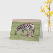 Mutter Zebra mit neugeborenem Colt Karte (Gelbe Blume)
