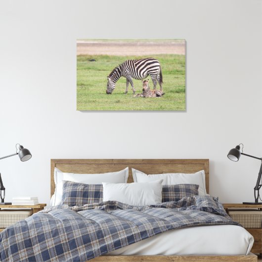 Mutter Zebra mit neugeborenem Colt Leinwanddruck (Insitu (Schlafzimmer))