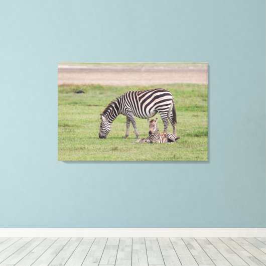 Mutter Zebra mit neugeborenem Colt Leinwanddruck (Insitu (Holzboden))
