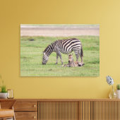 Mutter Zebra mit neugeborenem Colt Leinwanddruck (Insitu (Wohnzimmer))