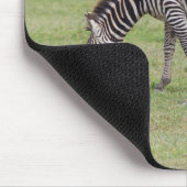 Mutter Zebra mit neugeborenem Colt Mousepad (Ecke)