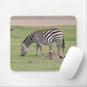 Mutter Zebra mit neugeborenem Colt Mousepad (Mit Mouse)