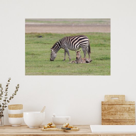 Mutter Zebra mit neugeborenem Colt Poster (Küche)