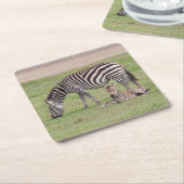 Mutter Zebra mit neugeborenem Colt Rechteckiger Pappuntersetzer (angewinkelt)