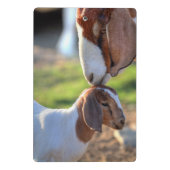 Mutter-Ziege u. Baby Mini Klemmbrett (Rückseite)