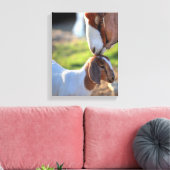 Mutter Ziege und Baby Leinwanddruck (Insitu (Wohnzimmer))