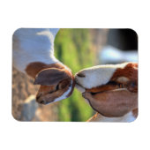 Mutter Ziege und Baby Magnet (Horizontal)