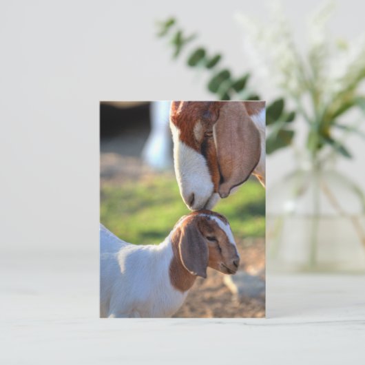 Mutter Ziege und Baby Postkarte (Stehend Vorderseite)