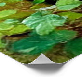 Mutterbär mit Kneipen in einer Waldlandschaft Poster (Ecke)