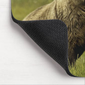 Mutterbär und -junges mousepad (Ecke)
