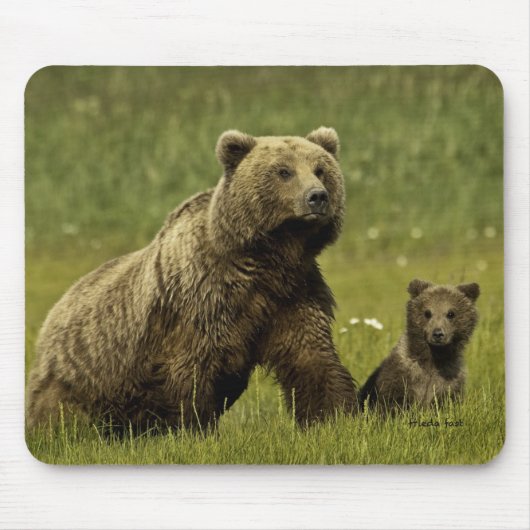 Mutterbär und -junges mousepad (Vorne)
