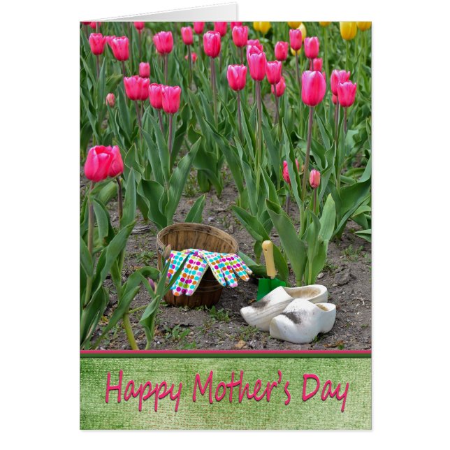 Mutterblüter (Vorne)