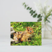 Mutterchipmunk und Babys Postkarte (Stehend Vorderseite)