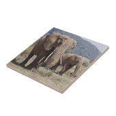 MutterElefant, der mit Elefantenkalb spaziert Fliese (Seite)