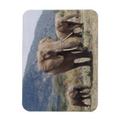 MutterElefant, der mit Elefantenkalb spaziert Magnet (Vertikal)