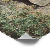 MutterElefant, der mit Elefantenkalb spaziert Poster (Ecke)