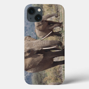 Mutterelefant, der mit Elefantkalb geht iPhone 13 Hülle