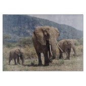 Mutterelefant, der mit Elefantkalb geht Schneidebrett (Vorderseite)