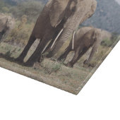 Mutterelefant, der mit Elefantkalb geht Schneidebrett (Ecke)