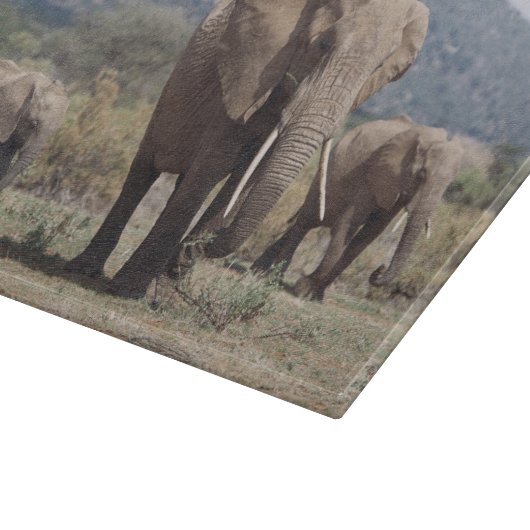 Mutterelefant, der mit Elefantkalb geht Schneidebrett (Ecke)