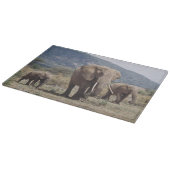 Mutterelefant, der mit Elefantkalb geht Schneidebrett (Ecke)