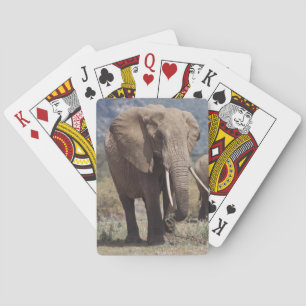 Mutterelefant, der mit Elefantkalb geht Spielkarten