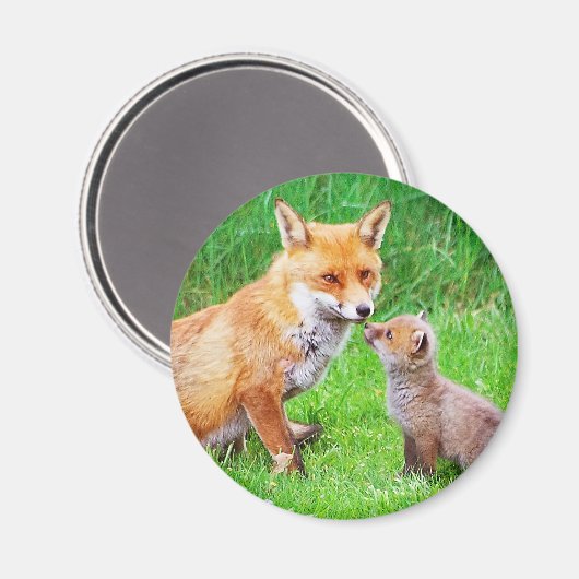 Mutterfuchs und -kuchen magnet (Vorderseite/Rückseite)