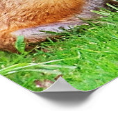 Mutterfuchs und -kuchen poster (Ecke)