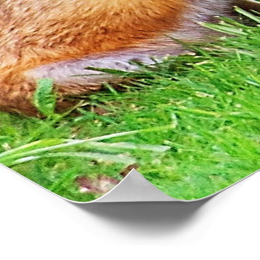 Mutterfuchs und -kuchen poster (Ecke)