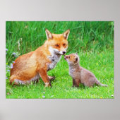 Mutterfuchs und -kuchen poster (Vorne)