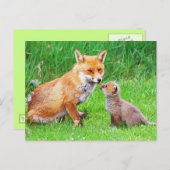 Mutterfuchs und -kuchen postkarte (Vorne/Hinten)