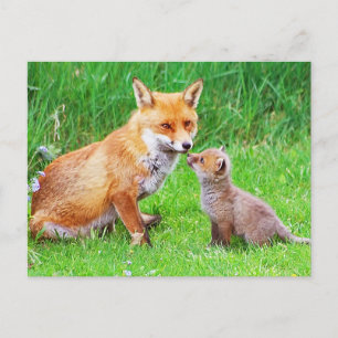 Mutterfuchs und -kuchen postkarte