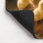Mutterhenne mit Küken in der Scheune Mousepad (Ecke)