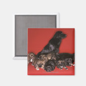 Mutterhund mit Welpen Magnet (Vorderseite/Rückseite)