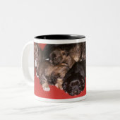 Mutterhund mit Welpen Zweifarbige Tasse (Vorderseite Links)