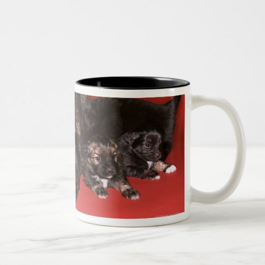 Mutterhund mit Welpen Zweifarbige Tasse (Rechts)