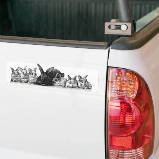 Mutterkaninchen und Säuglinge Autoaufkleber (Auf Lkw)