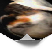 Mutterkatze Poster (Ecke)