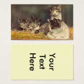 Mutterkatze und Kätzchen (Vorne & Hinten)