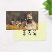 Mutterkatze und Kätzchen (Schreibtisch)