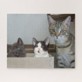 Mutterkatze und Kätzchen Puzzle (Horizontal)