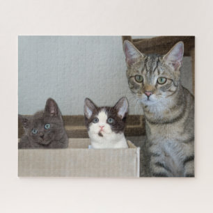 Mutterkatze und Kätzchen Puzzle