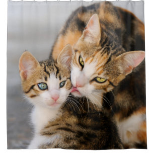 Mutterkatzen-Lieben niedliches Kätzchen, Wanne Duschvorhang
