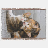 Mutterkatzenjunge Lieben werfen Decken (Vorderseite)