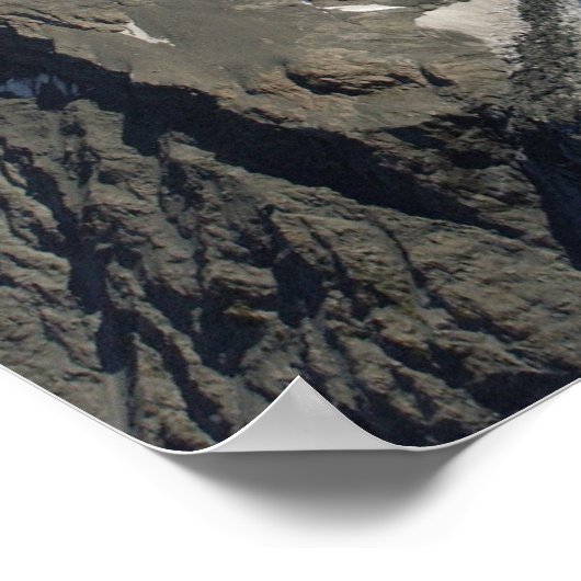 Mutterkoch, Neuseeland Poster (Ecke)