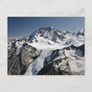 Mutterkoch, Neuseeland Postkarte
