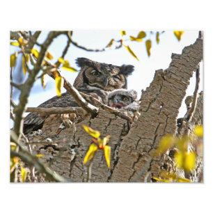 Mutterkugel und Baby in Nest Fotodruck
